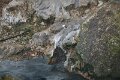 IMG_8243