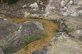 IMG_8275