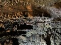 IMG_3732