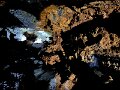 IMG_3735