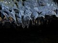 IMG_3737