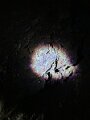 IMG_3750