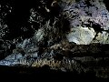 IMG_3754