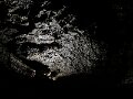 IMG_3755