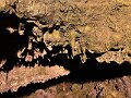 IMG_3756