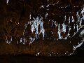 IMG_3758