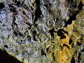 IMG_3760