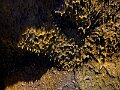 IMG_3765