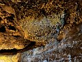 IMG_3768