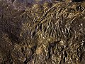 IMG_3773