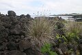 IMG_8195