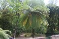 IMG_8285