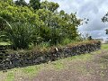 IMG_3650