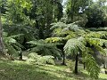 IMG_3670