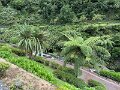 IMG_3694