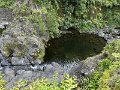 IMG_3708