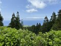 IMG_3780