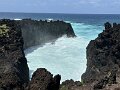 IMG_3798
