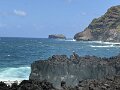IMG_3801