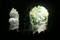 IMG_8335