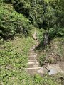 IMG_3716