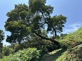 IMG_3723