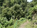 IMG_3724