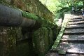 IMG_8650