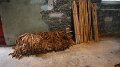 IMG_8396