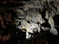 Cueva